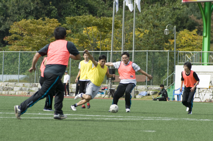 _dsc1151.png